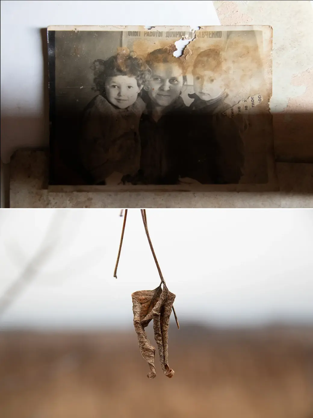 Фотопроект Т.Крапивиной «Дневник моей жизни»