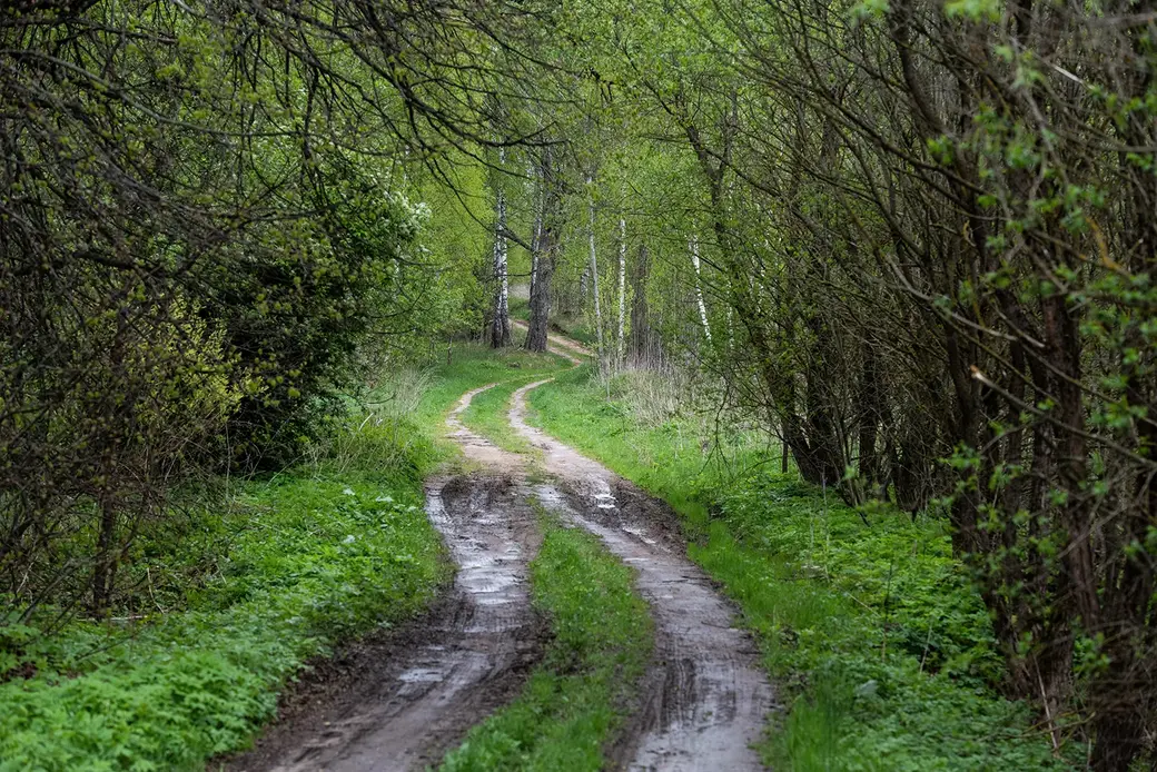 Дорога, ведущая в деревню