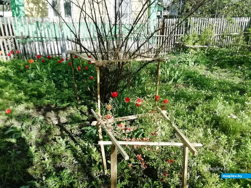 Дачный участок под Могилевом. Высадили клубнику. Май,2022 год