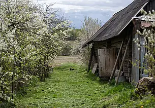 Майская пастораль, или Почему стоит почаще выезжать за город?