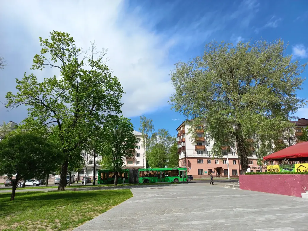 Деревья, носящие имена наших друзей. Могилев, май 2022 года.