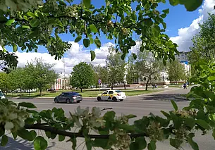 В яблоневом цвету улица Островского в Могилеве