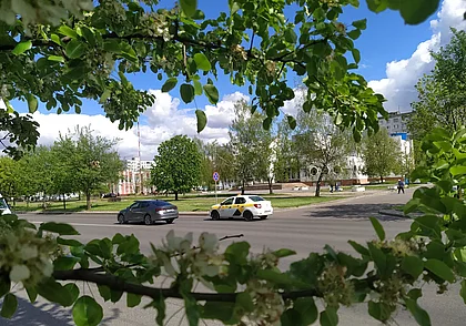 В яблоневом цвету улица Островского в Могилеве