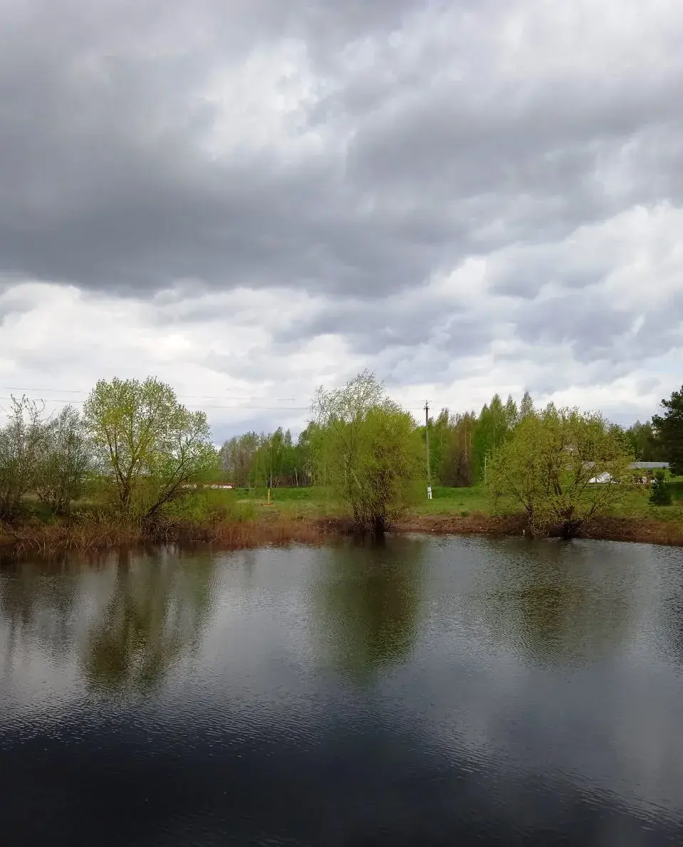 Рэчышча Дубравенкі пад Магілёвам. Фотаздымкі Юрася Каласоўскага
