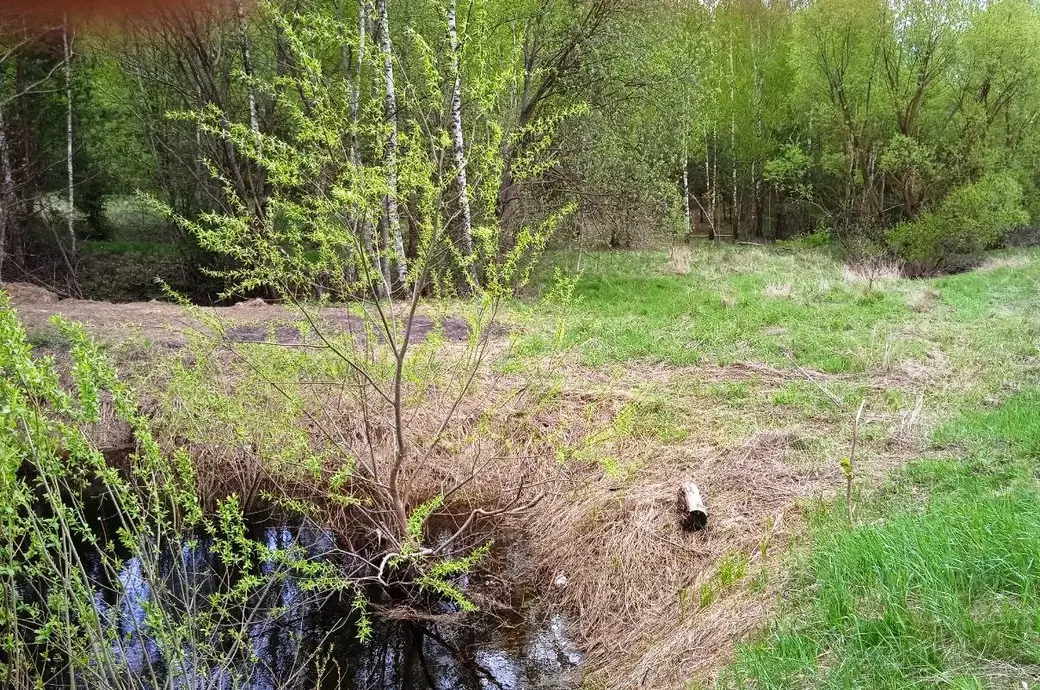Рэчышча Дубравенкі пад Магілёвам. Фотаздымкі Юрася Каласоўскага
