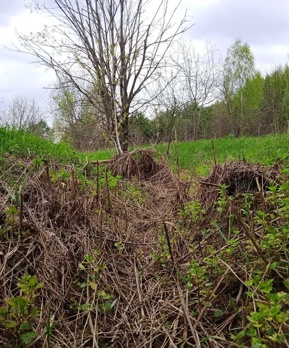 Рэчышча Дубравенкі пад Магілёвам. Фотаздымкі Юрася Каласоўскага