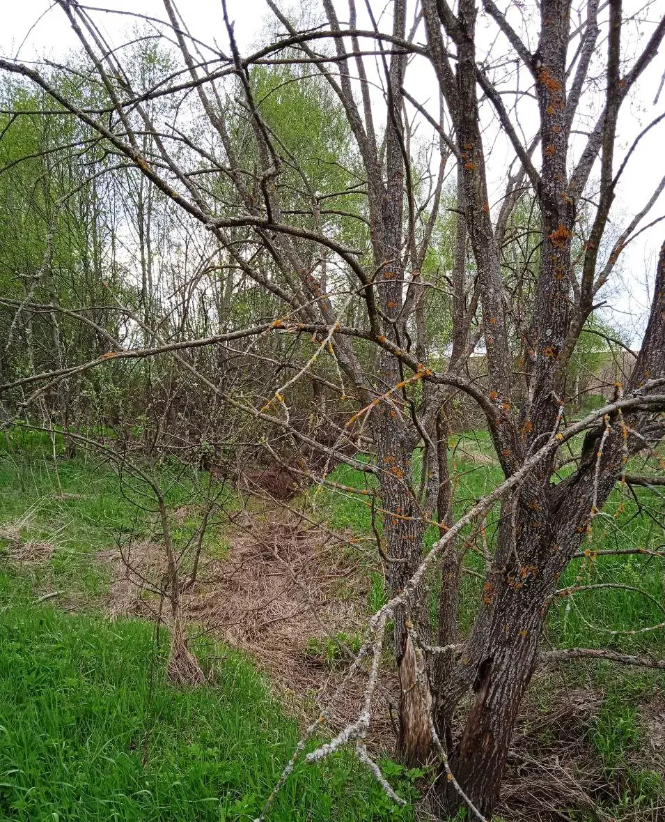 Рэчышча Дубравенкі пад Магілёвам. Фотаздымкі Юрася Каласоўскага