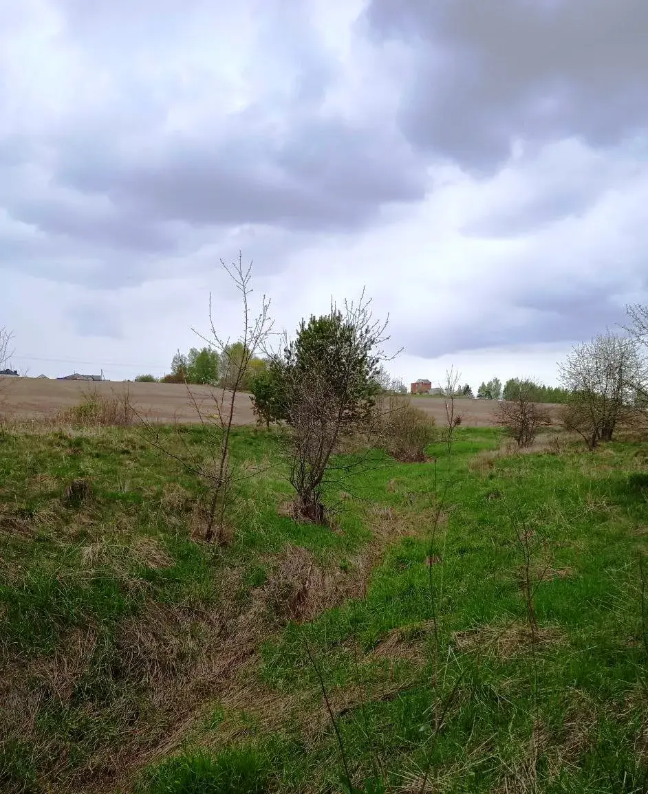 Рэчышча Дубравенкі пад Магілёвам. Фотаздымкі Юрася Каласоўскага