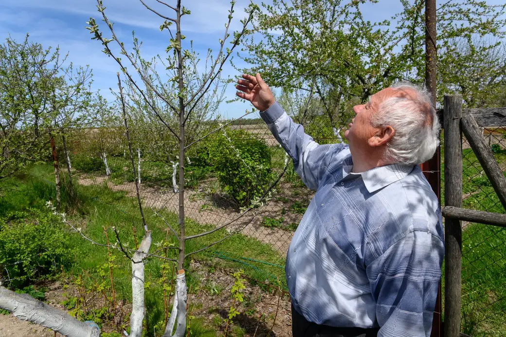 11.05.2022. Телушский сельский Совет. Евгений Михайлович и Валентина Александровна Демковы растят сад в деревне Телуша
