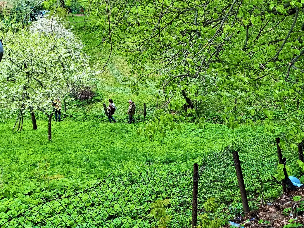 Могилев, район автозавода имени Кирова, 18.05.2022 года.