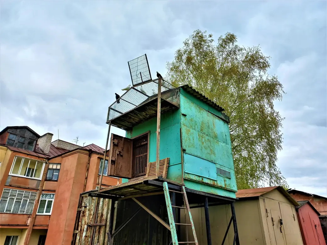 Могилев, район автозавода имени Кирова, 18.05.2022 года.