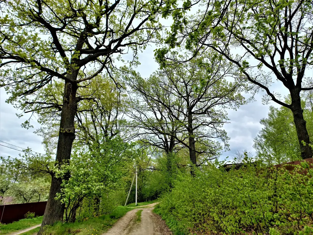Могилев, район автозавода имени Кирова, 18.05.2022 года.