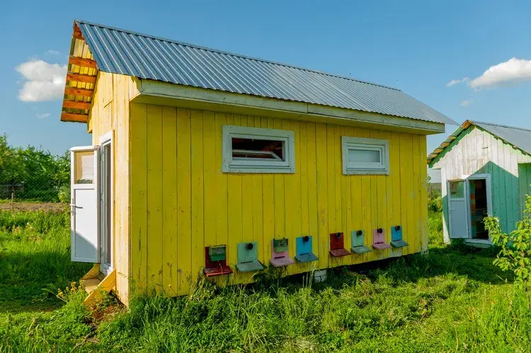 Апидомик на пасеке Сергея Ковалева. Фото: dompchel.by