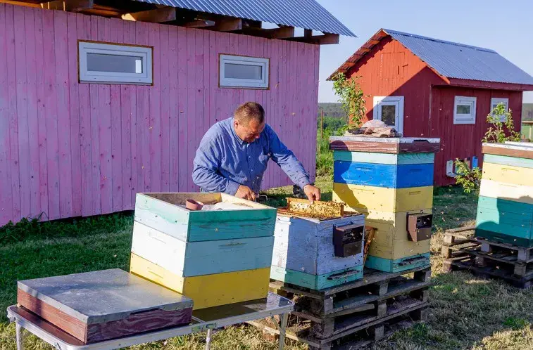 Пасека Сергея Ковалева. Фото: dompchel.by