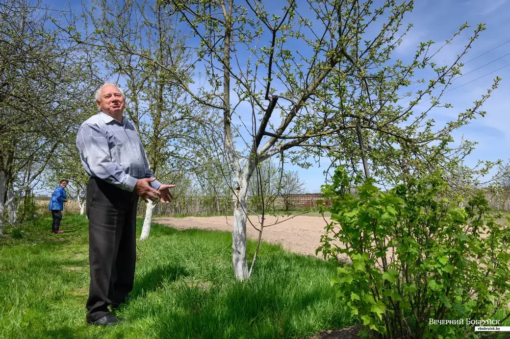 Надо постоянно деревья «просматривать», чтобы не пропустить болезни