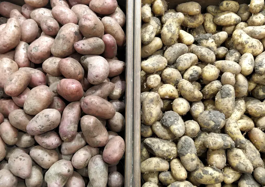 Картофель.. Торговый центр «Грин» Могилев, май 2022 год.