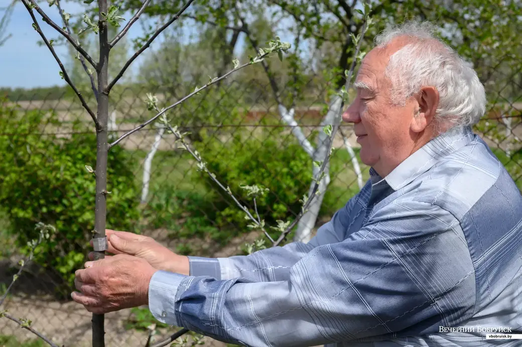 11.05.2022. Телушский сельский Совет. Евгений Михайлович и Валентина Александровна Демковы растят сад в деревне Телуша