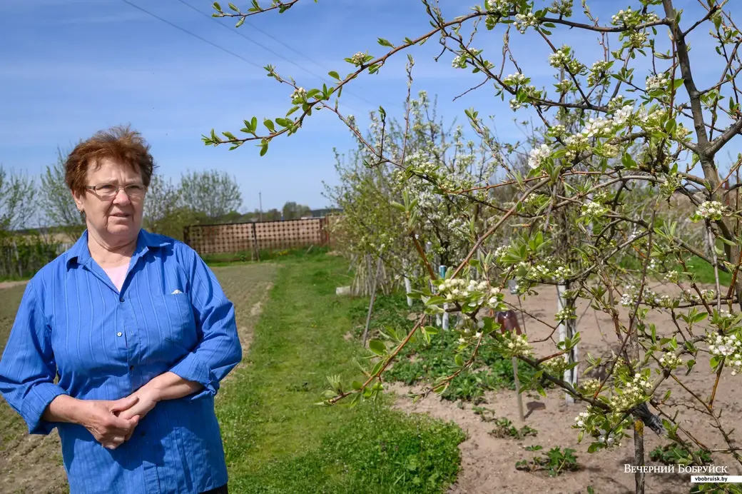 11.05.2022. Телушский сельский Совет. Евгений Михайлович и Валентина Александровна Демковы растят сад в деревне Телуша