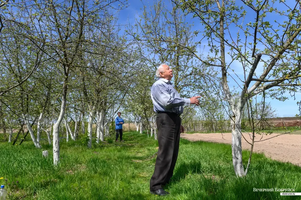 11.05.2022. Телушский сельский Совет. Евгений Михайлович и Валентина Александровна Демковы растят сад в деревне Телуша