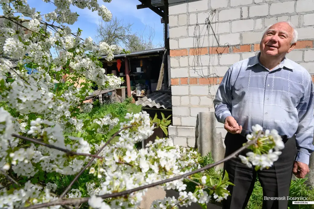 11.05.2022. Телушский сельский Совет. Евгений Михайлович и Валентина Александровна Демковы растят сад в деревне Телуша