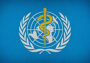 ВОЗ подтвердила около 80 случаев оспы обезьян в 11 странах