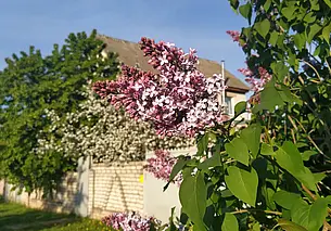 До 1 сентября 2025-го можно узаконить