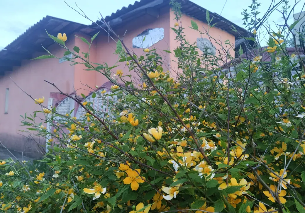 Поселок Луполова Могилева. Май, 2022 год.