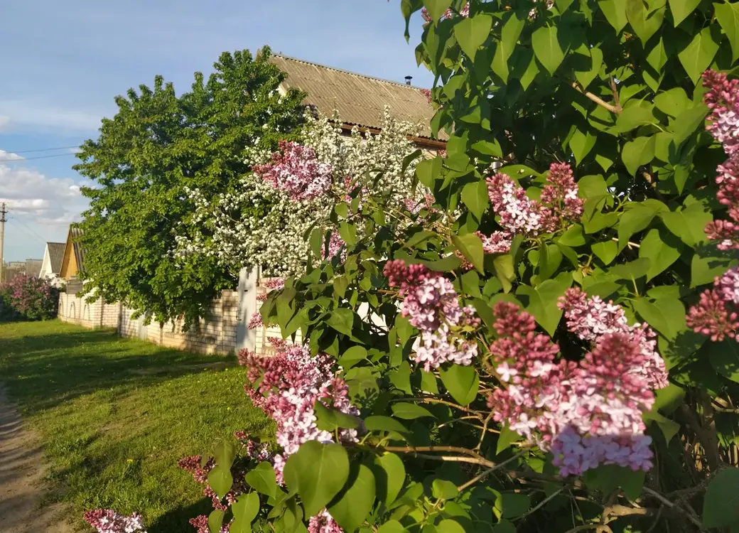 Поселок Луполова Могилева. Май, 2022 год.