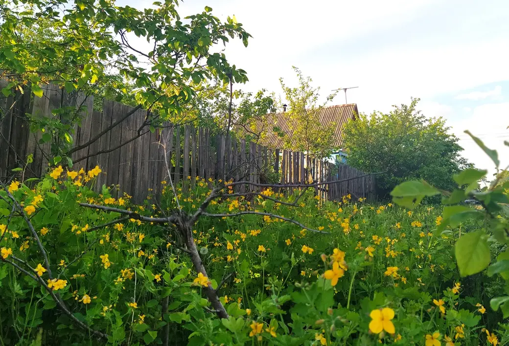 Поселок Луполова Могилева. Май, 2022 год.