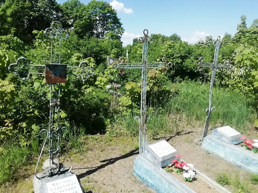 «Луполовское» кладбище: заросло травой, некоторые могилы провалились. Могилев, 25.05.2022 г.
