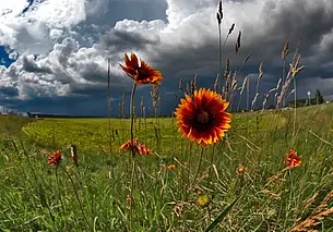 «Он был хорошим человеком и очень надежным другом»
