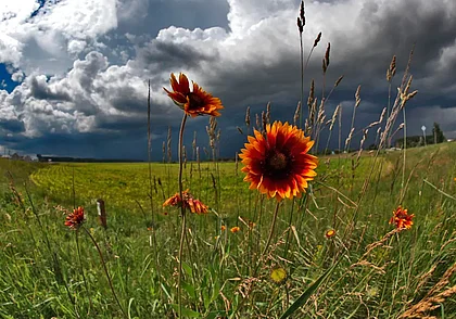 «Он был хорошим человеком и очень надежным другом»
