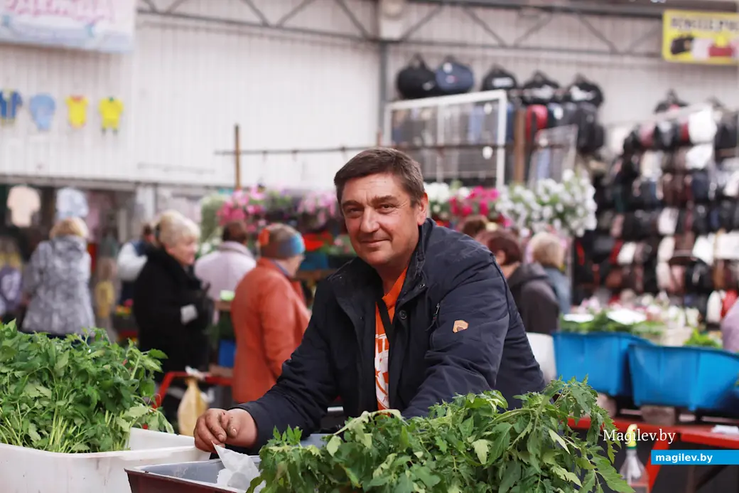 27 мая 2022 года. Торговля на центральном рынке Бобруйска. Виктор Новожилов из Кличевского района продает рассаду помидор по 5 рублей за десяток.