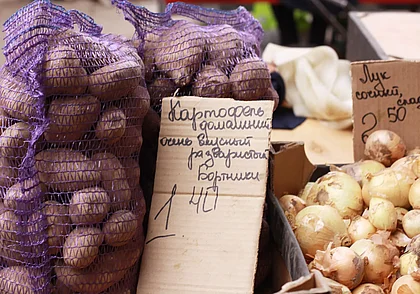 В Бобруйске начинаются сельскохозяйственные ярмарки