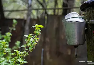 Лукашенко анонсировал новые меры по упрощению строительства частных домов