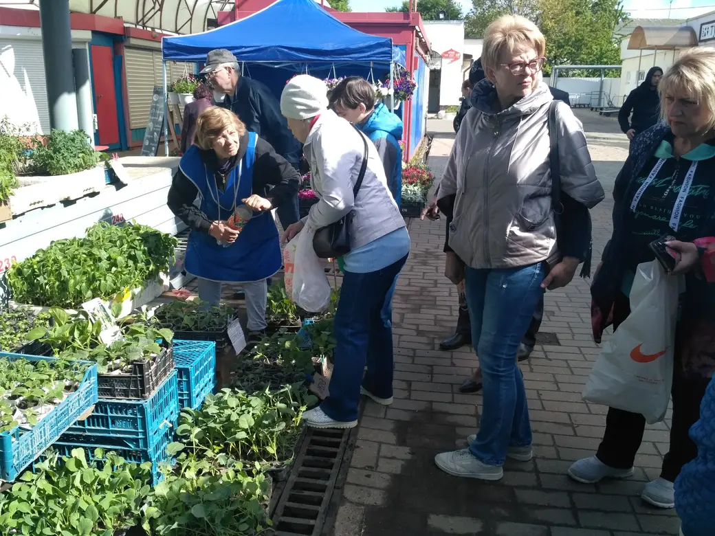 Бойкая торговля рассадой идет на всех рынках Могилева: Центральном, Привокзальном и по улице Островского. 20.05.2022 г.