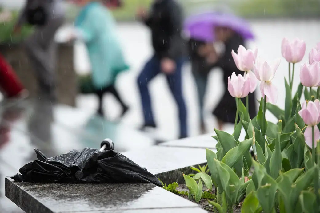 30.05.2022 г. Могилев, площадь Славы. Из-за дождливой погоды в Могилеве запланированный «Вальс выпускников» так и не состоялся