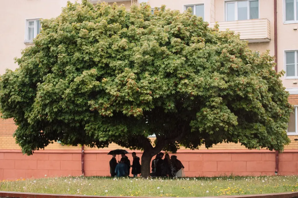 30.05.2022 г. Могилев, площадь Славы. Из-за дождливой погоды в Могилеве запланированный «Вальс выпускников» так и не состоялся