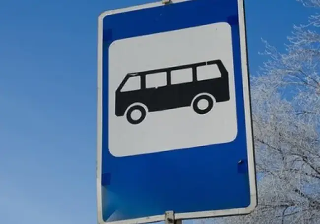 В Печерский лесопарк  27 января будут ходить дополнительные автобусы