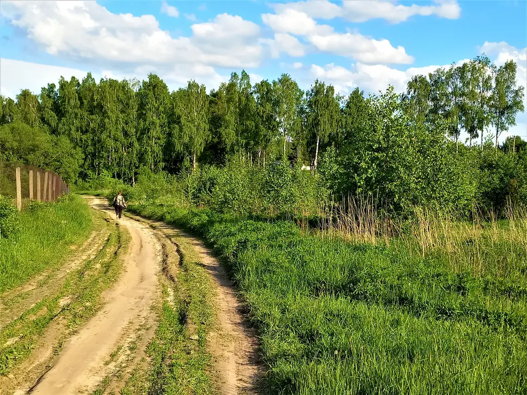 Дорога к Пашковскому озеру. 01.06.2022 г.