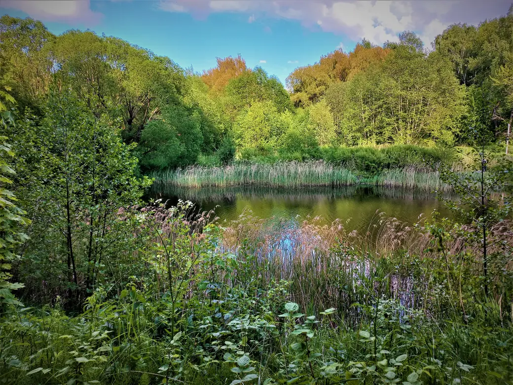 Дорога к Пашковскому озеру. 01.06.2022 г.
