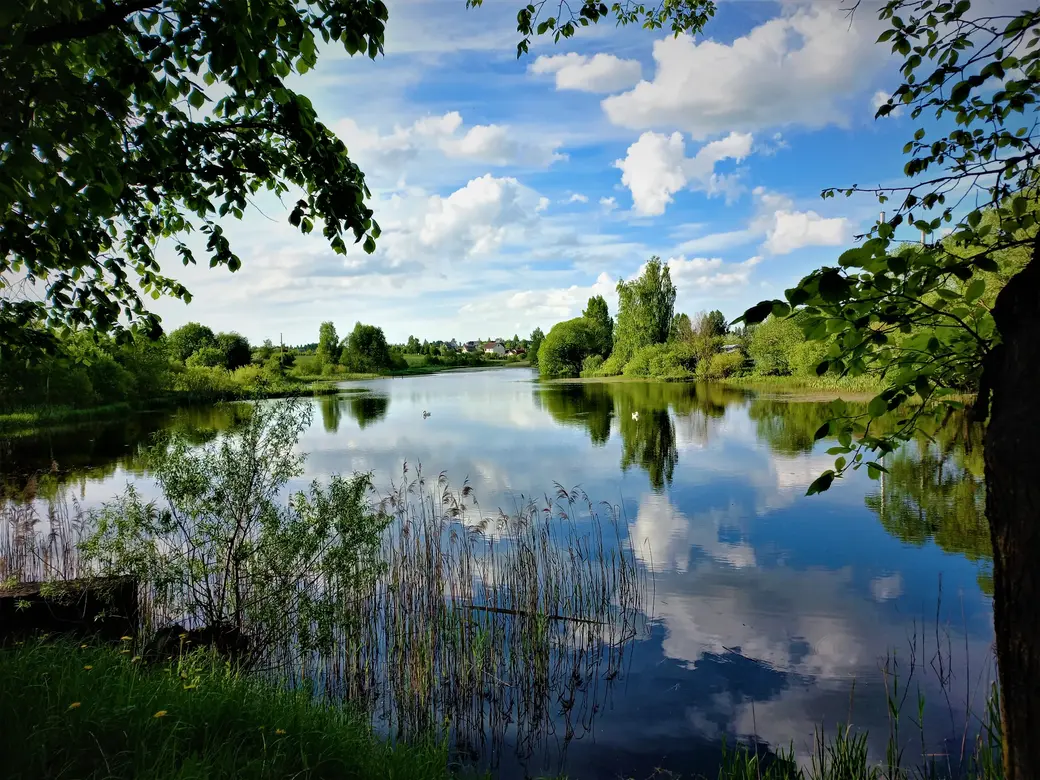 Пашковское озеро. 01.06.2022 г.