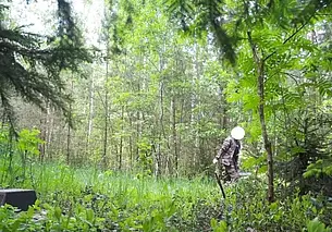 Мужчина занимался незаконной рубкой в лесу под Могилевом и попал в фотоловушку
