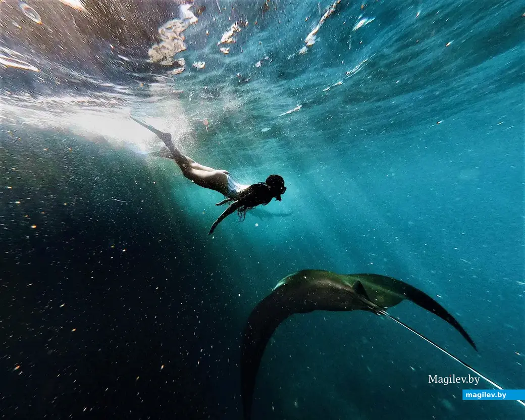 Индонезия, на острове Бали.
