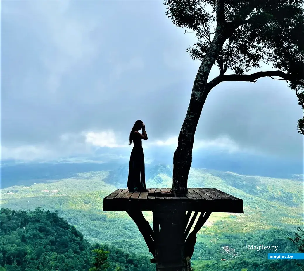 Индонезия, на острове Бали.