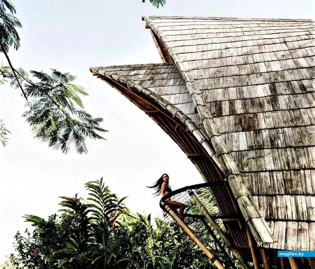 Индонезия, на острове Бали.