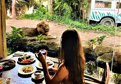 «Островитяне встретили закат на море – и всё, движуха заканчивается»
