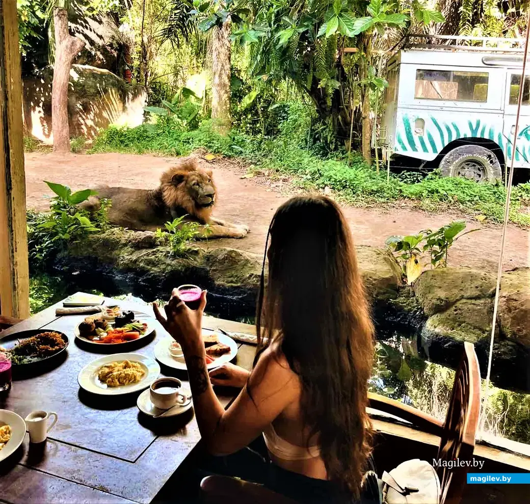 Индонезия, на острове Бали.