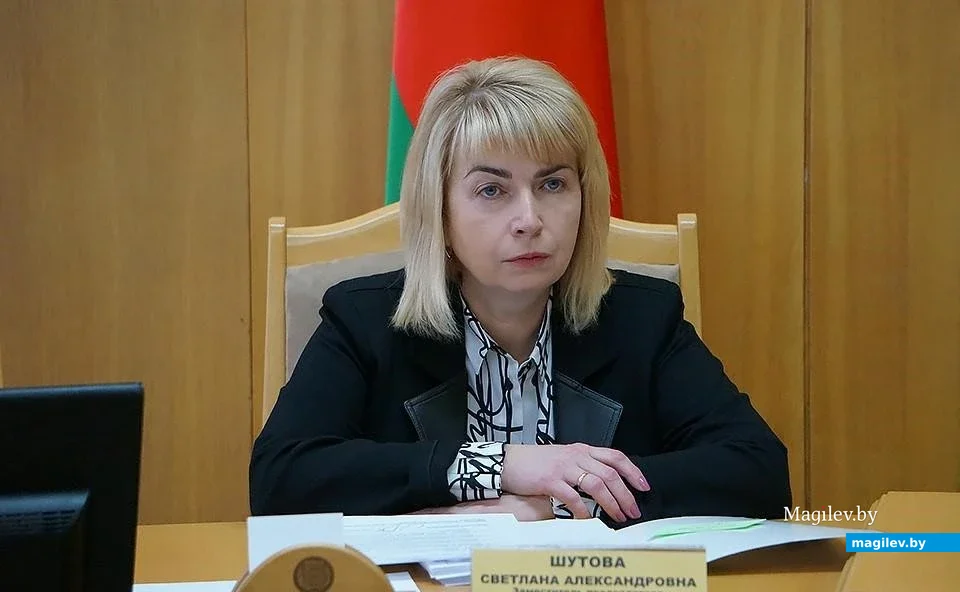 Будучи депутатом Палаты представителей Национального собрания, Светлана Александровна
