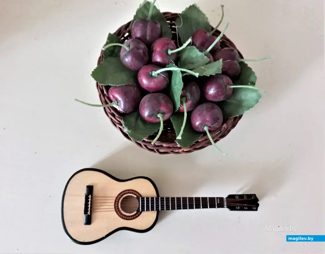 Замечательный подарок (гитарка) Тани Ложечниковой.